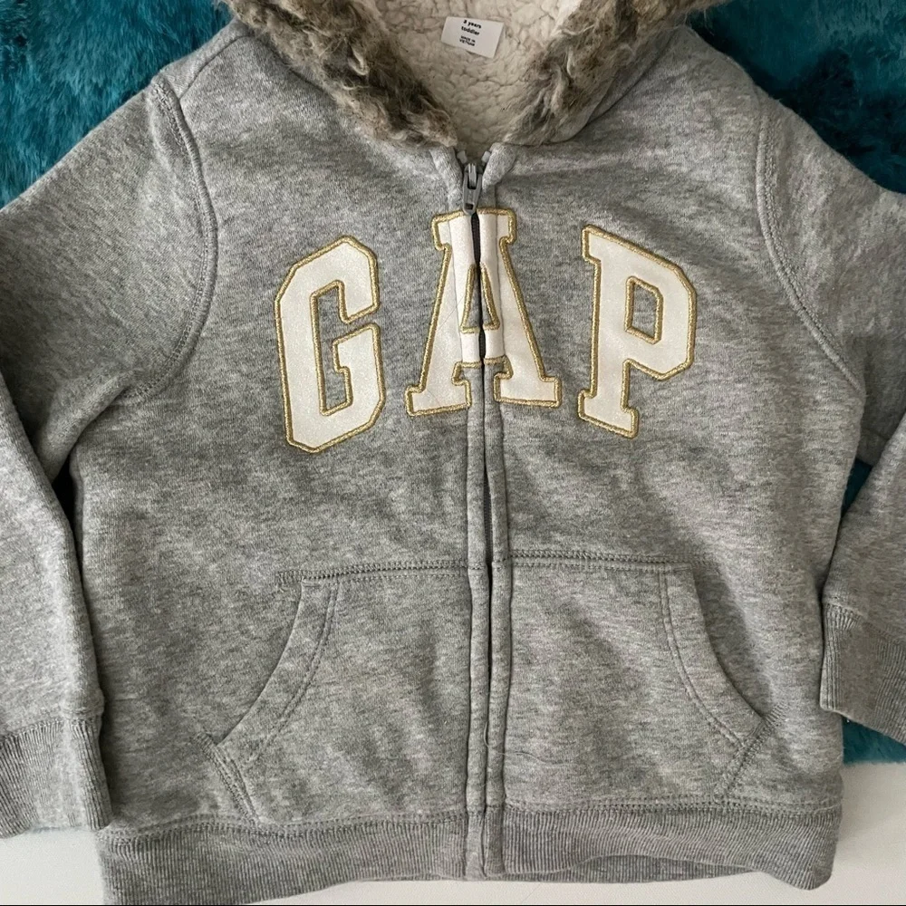Baby Gap Toddler Girl Hoodie Size 3T